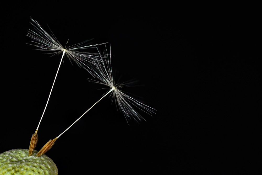 Platz 1 Robert Seitz